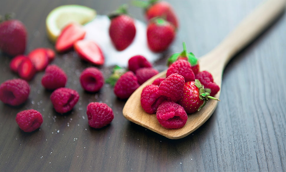 red berries HD wallpaper