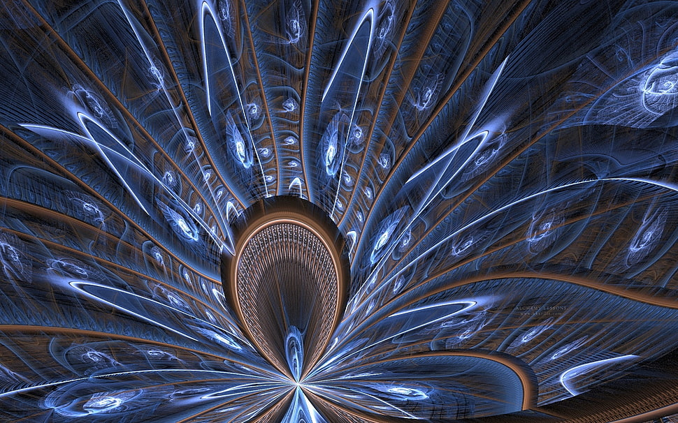 blue and brown peacock graphics HD wallpaper