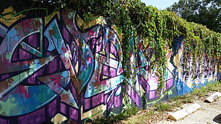 purple, green, and red floral textile, wall, graffiti, colorful, Miami