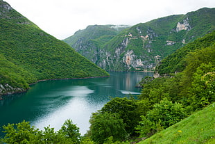 green body of water between mountain during daytime, piva river, montenegro