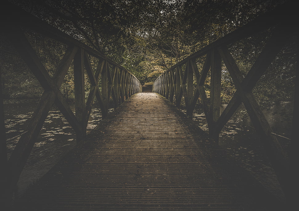 Bridge,  Board,  Trees HD wallpaper