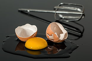 broken egg
