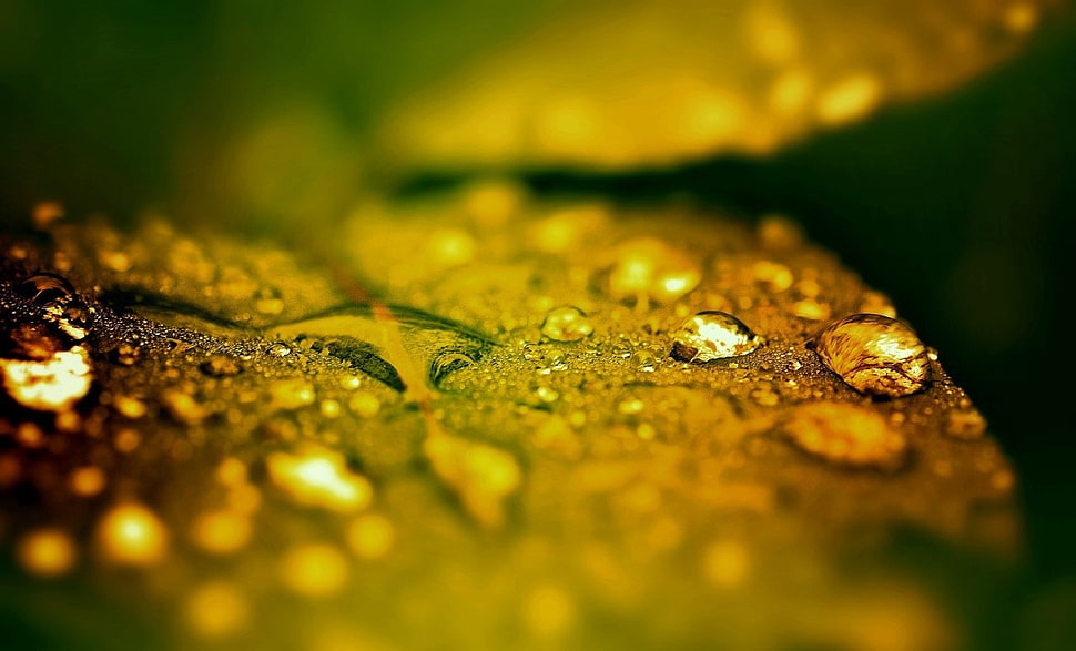 rain HD wallpaper