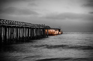 brown wooden dock in grayscale photo