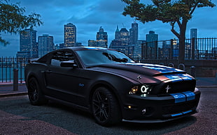 black Ford Mustang Shelby, car, Ford, Ford Mustang HD wallpaper