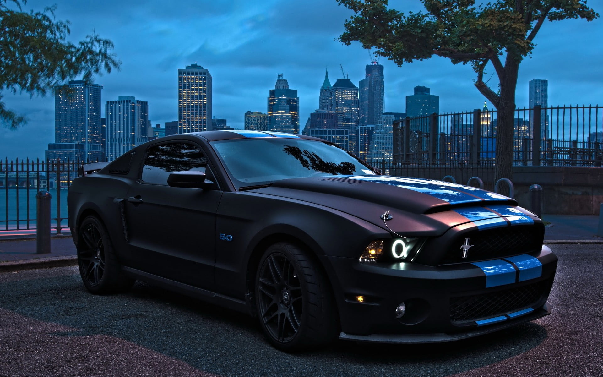 black Ford Mustang Shelby, car, Ford, Ford Mustang