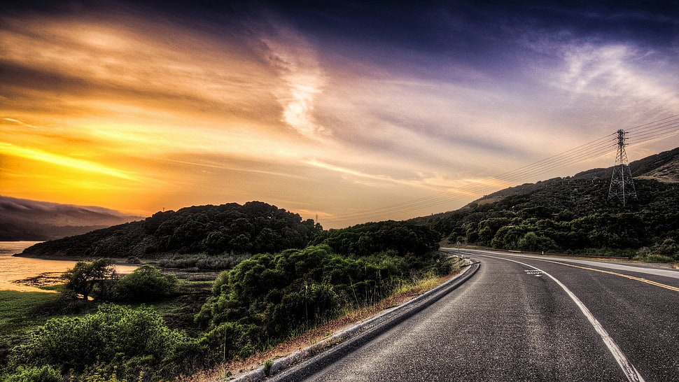 green trees, sky HD wallpaper