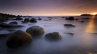 brown rocks sorrounded by fog in golden hour photo