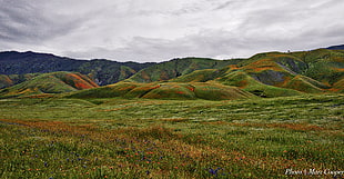 green hills under gray cloudy skies, california