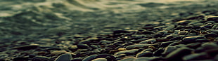 focused photo of pebbles HD wallpaper