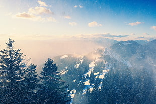 snow covered mountain, landscape, trees, nature, winter