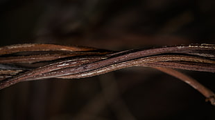brown rope, macro