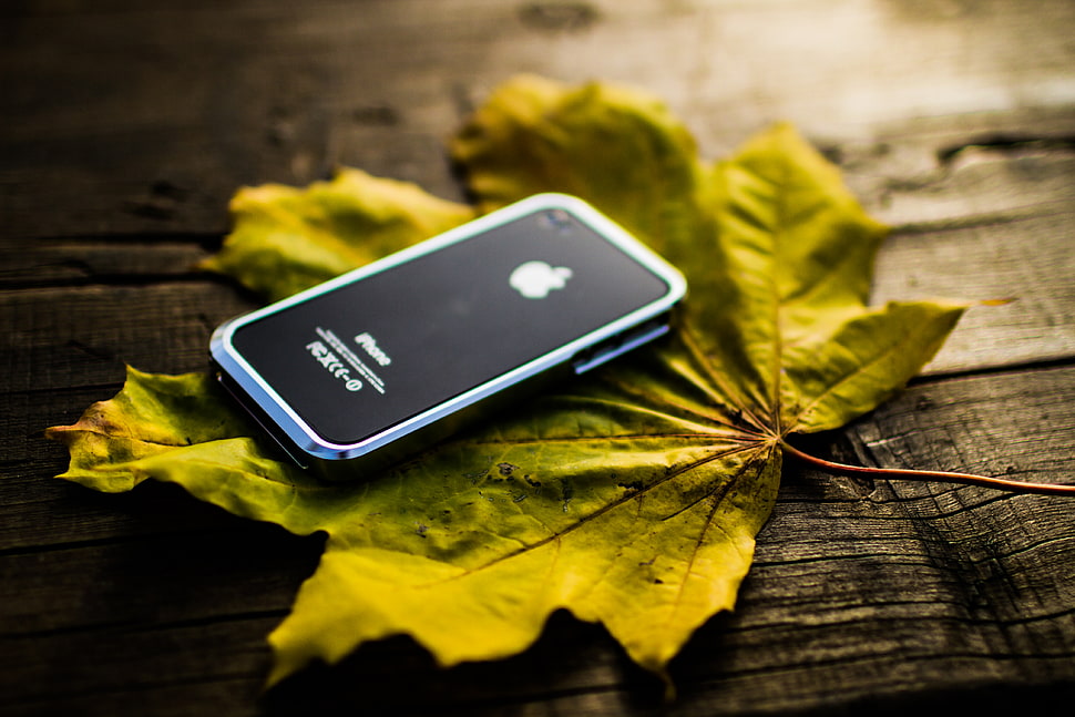 rectangular cordless black and gray Apple device on green leaf and brown wood plank HD wallpaper