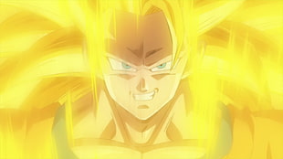 San Goku illustration, Dragon Ball Z HD wallpaper