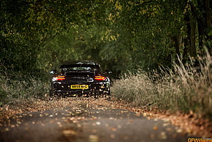 black car, Porsche, car, fall, black cars HD wallpaper