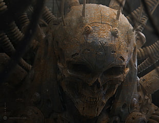 brown skull, CGI, skull HD wallpaper