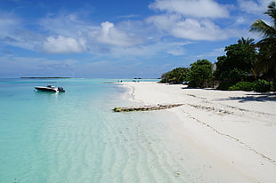 white sand Beach with dock and motorboat at daytime