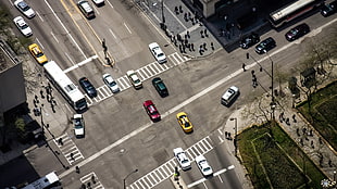 aerial photography of vehicles on road, city, street, top view