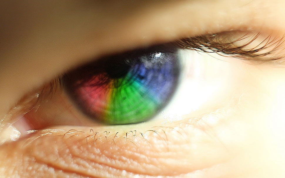 human left eye HD wallpaper
