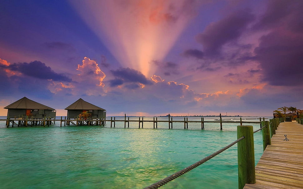 Sunset painting HD wallpaper