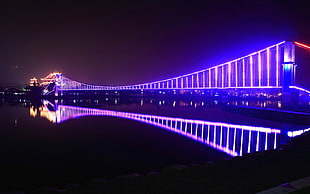 purple LED lighted bridge during nighttime