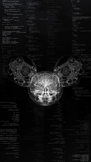 gray skull digital wallpaper