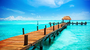 brown wooden dock, nature, water, blue