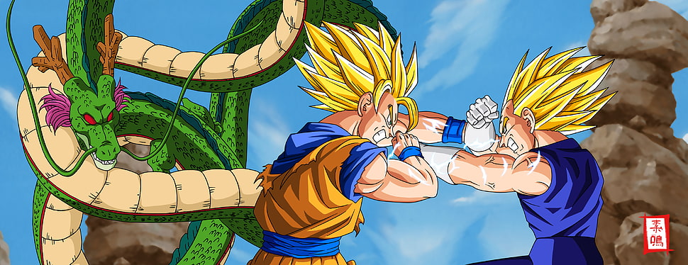 Dragon Ball Son Goku and Vegeta HD wallpaper