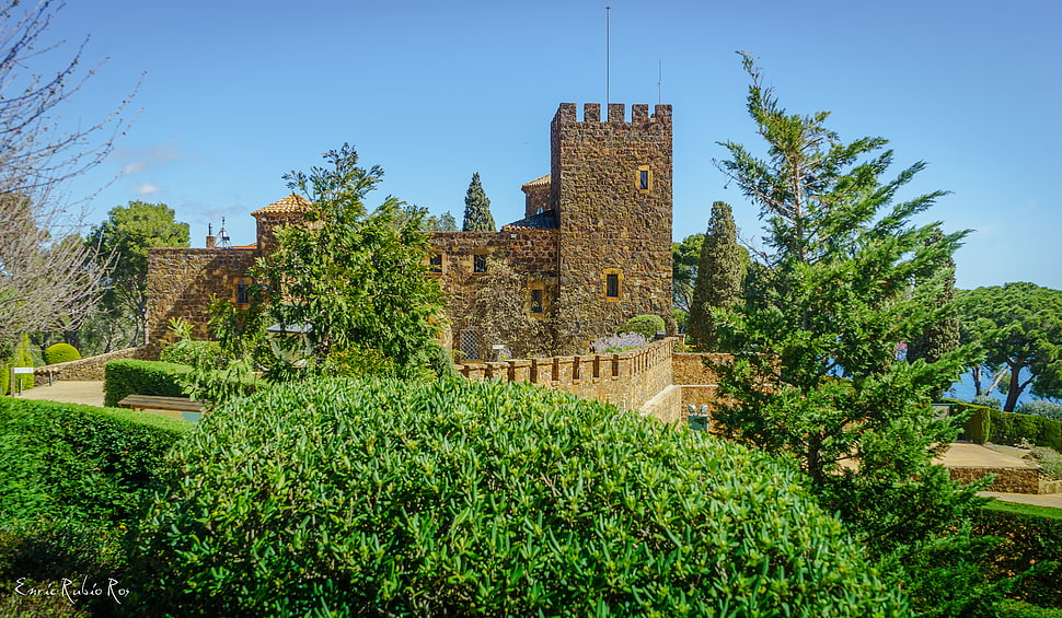 brown castle near at green trees during daytime HD wallpaper