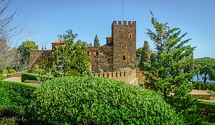 brown castle near at green trees during daytime