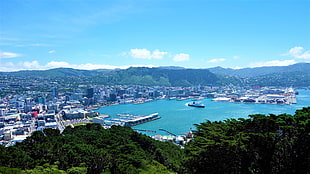 blue and white ship, New Zealand, Wellington