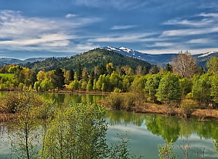calm body of water surrounded by trees, nature, landscape, photography, spring