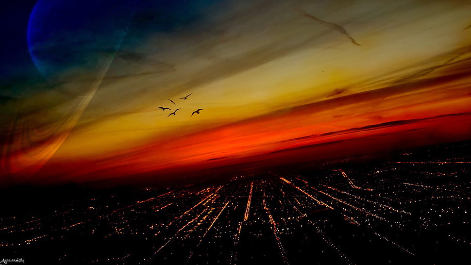 fight of birds, cityscape, digital art, space art, birds HD wallpaper