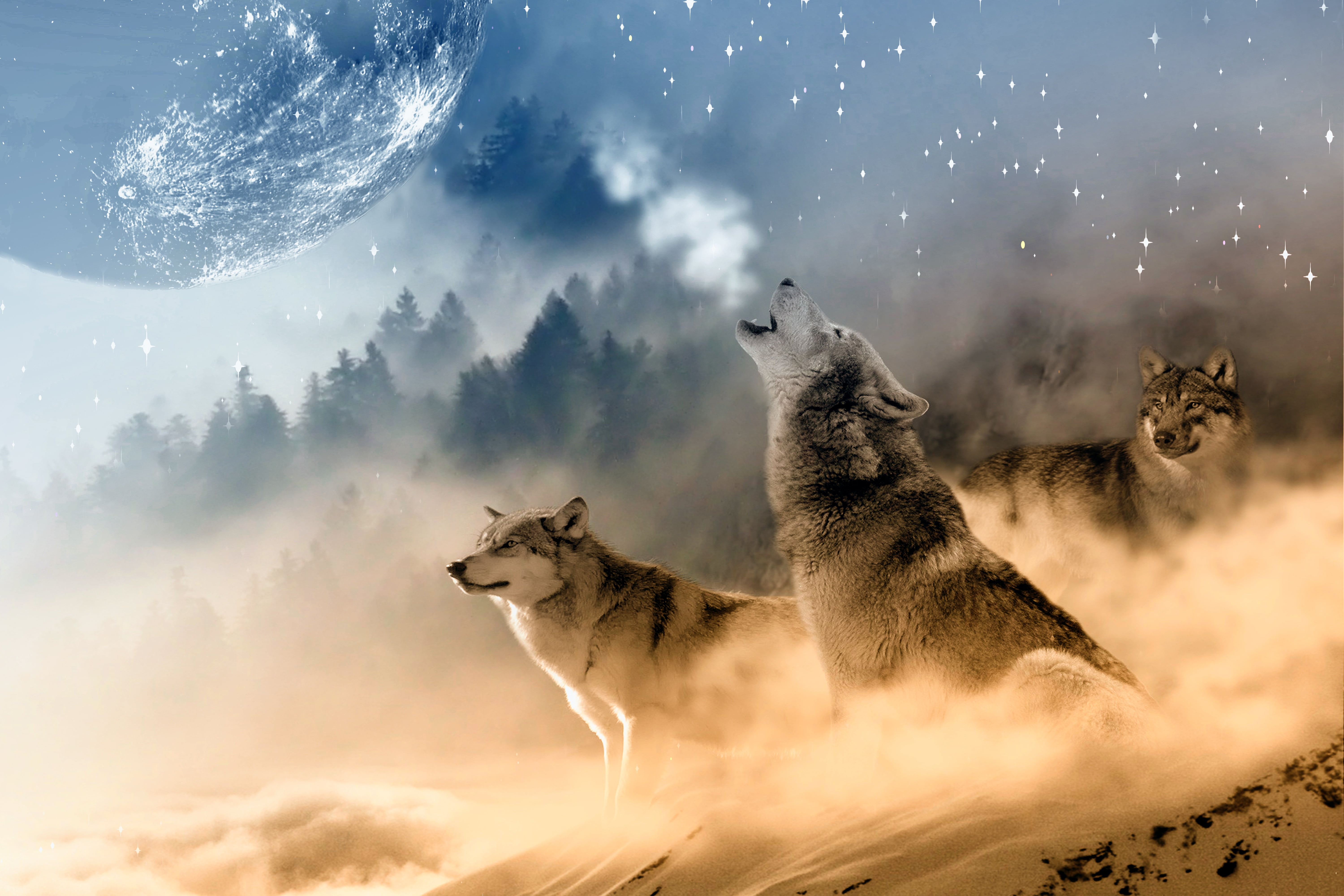three wolves with moon illustration