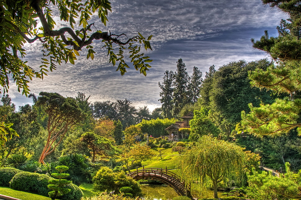 green trees with bridge under cloudy sky HD wallpaper