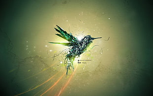 green bird illustration, birds, hummingbirds, machine, Desktopography