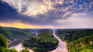 landscape photography of river between trees