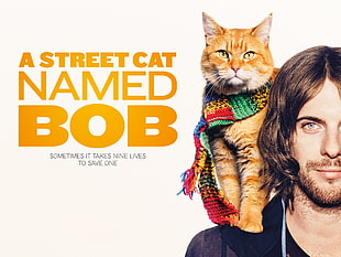 A Street Cat Named Bob TV series still