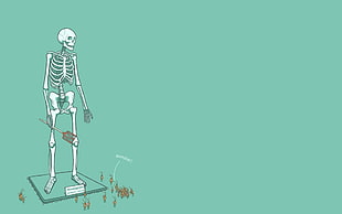 skeleton standing illustration HD wallpaper