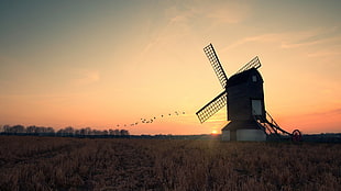 silhouette of barn wind mill during golden hour HD wallpaper