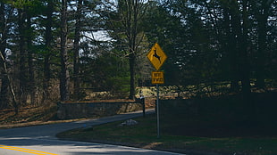 black and yellow basketball hoop, road sign, road, trees HD wallpaper