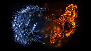 water and fire illustration, digital art, fire, ice, birds