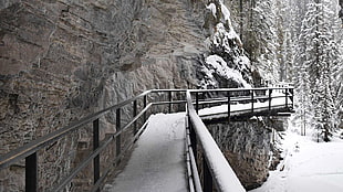 grey bridge, Canada, winter, nature, landscape