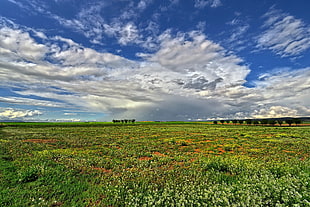 photo of gray and blue sky under green field