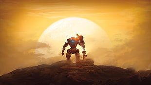 robot beside person on mountain under sunset