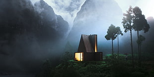 brown house, cabin, forest, wood, night