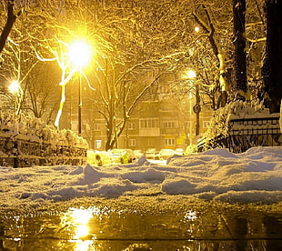 white snow pile, winter, city, night HD wallpaper