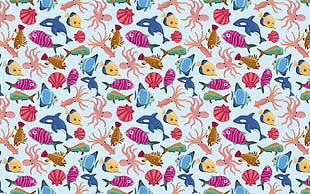 school of assorted fishes HD wallpaper