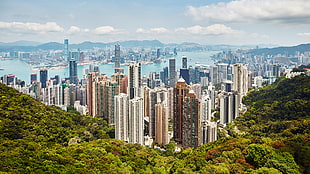 aerial photography of cityscape near river, Hong Kong, cityscape, building, trees