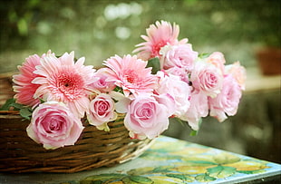 shallow focus photography of pink flowers in basket